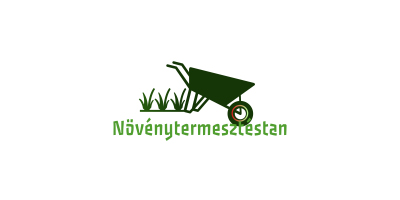 amic.hu-Budapesten az első